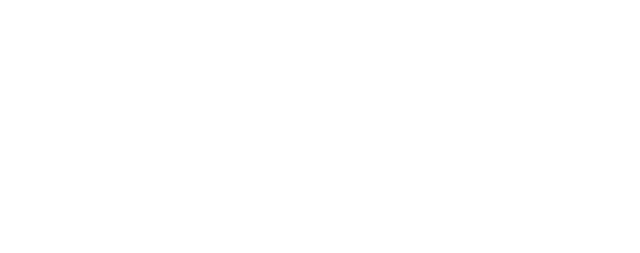 Bim Logo